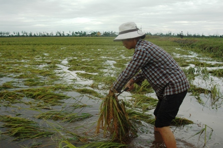 Localities overcome consequences caused by storm